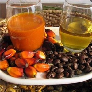 Εξοπλισμός διυλιστηρίου και κλασματοποίησης φοινικελαίου