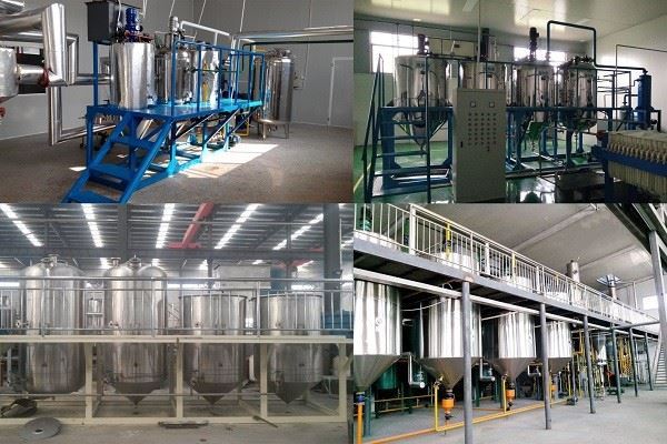 Sunflower Seed Oil Extraction Machine